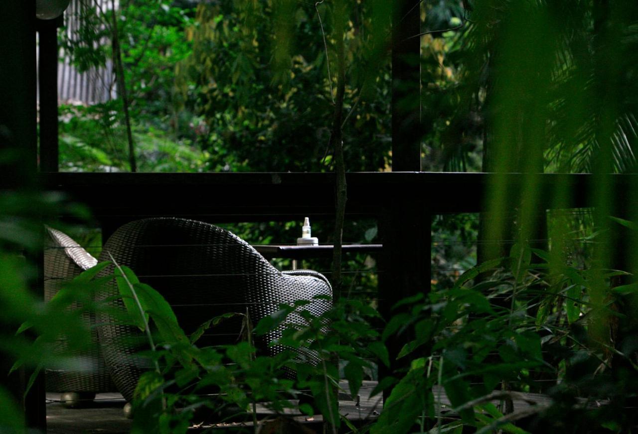 Songbirds Rainforest Retreat Mount Tamborine Exterior photo